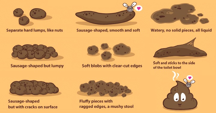 What does it mean when your poop is mushy?