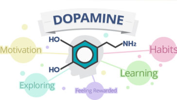What does low dopamine feel like?