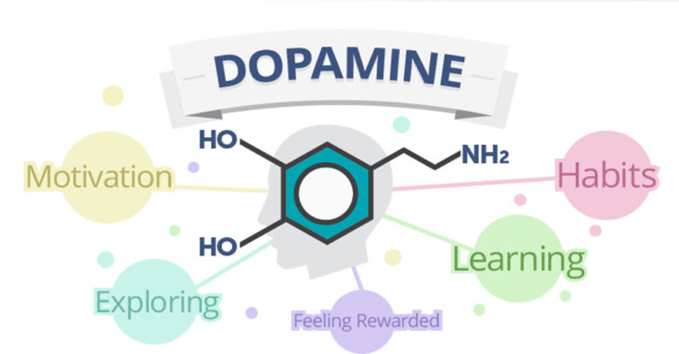 what-does-low-dopamine-feel-like