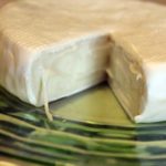 What does mold look like on cheddar cheese?