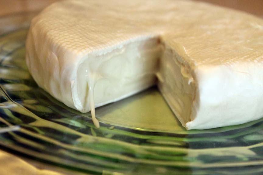 What does mold look like on cheddar cheese?