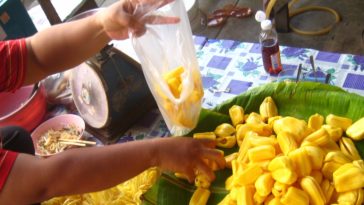 What does monkey fruit taste like?