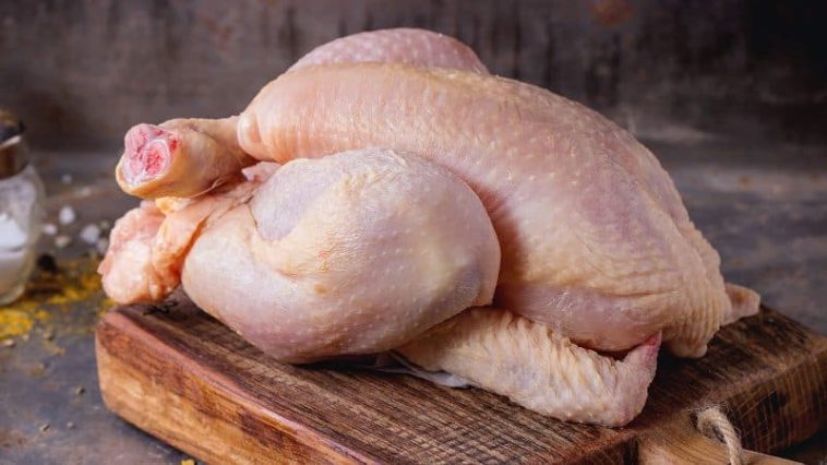 What does off cooked chicken smell like?