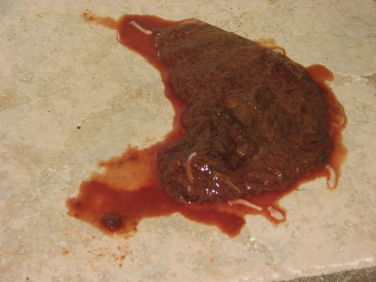 What does parvo poop look like?