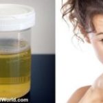 What does protein smell like in urine?