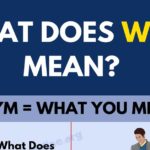 What does ratatouille mean in English?