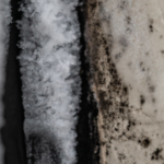 What does tortilla mold look like?