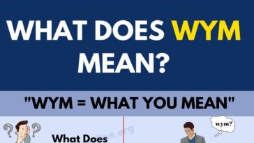 What does trivet mean in English?