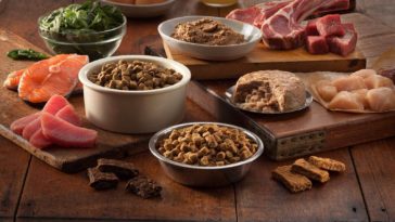 What dog food has no meal in it?