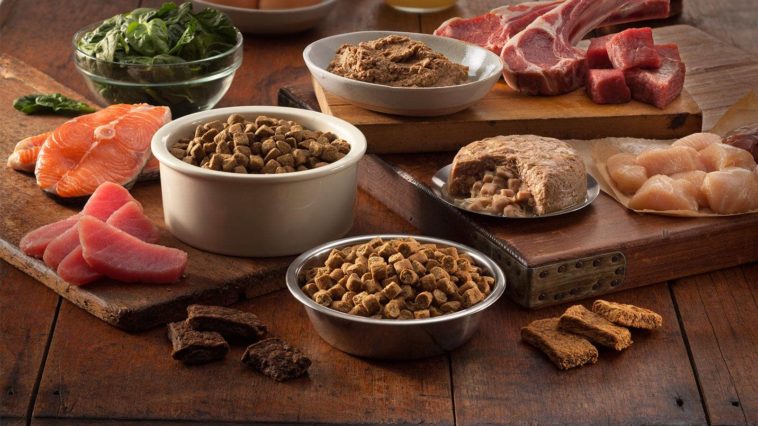 What dog food has no meal in it?