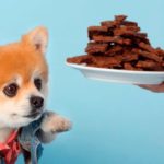 What dog treats should I avoid?