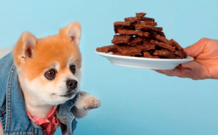 What dog treats should I avoid?