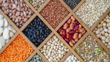 What food can you survive on forever?