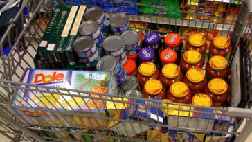 What food is best for survival?