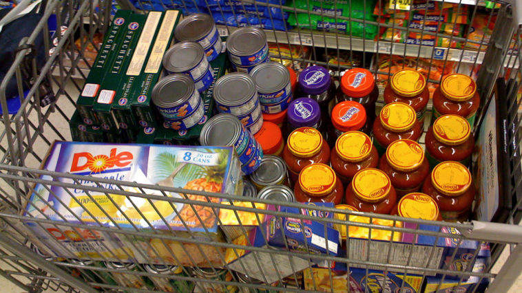 What food is best for survival?