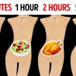 What food stays in your stomach the longest?