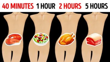What food stays in your stomach the longest?