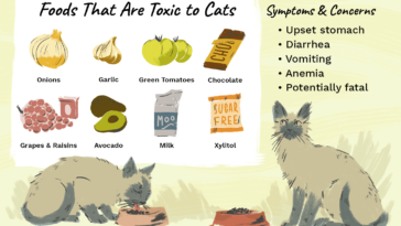 What foods are toxic to cats?