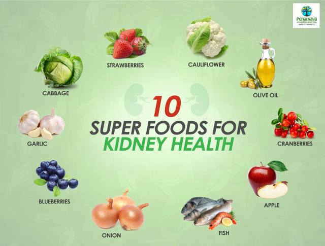 What foods help repair kidneys?