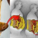 What happens if I drink apple cider vinegar every night?