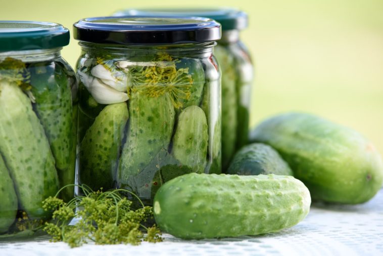 What happens if I put cucumbers in pickle juice?