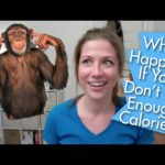 What happens if you don't eat enough calories?