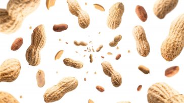 What happens if you eat too many peanuts?