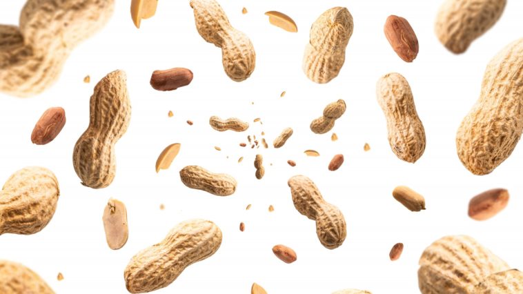 What happens if you eat too many peanuts?
