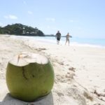 What happens if you eat too much coconut?