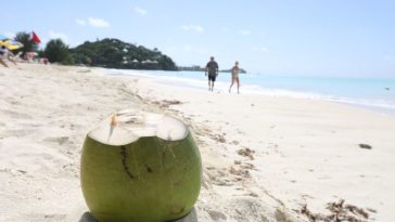 What happens if you eat too much coconut?