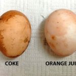 What happens if you put an egg in coke and vinegar?