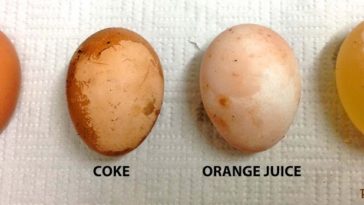 What happens if you put an egg in coke and vinegar?