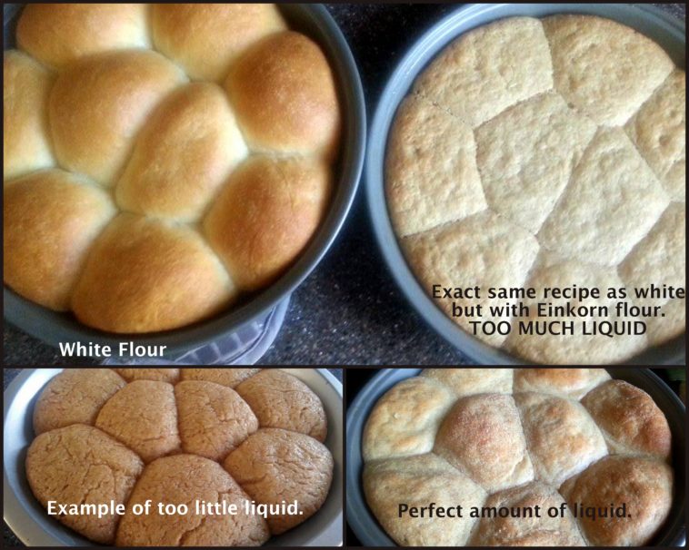 What happens if you put too much butter in bread?