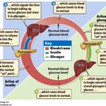 What happens if you use normal sugar instead of caster sugar?