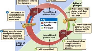 What happens if you use normal sugar instead of caster sugar?