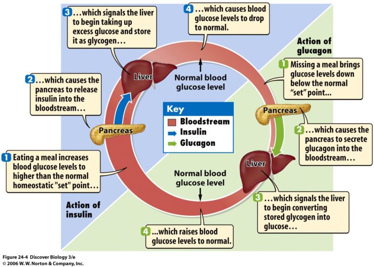 What happens if you use normal sugar instead of caster sugar?