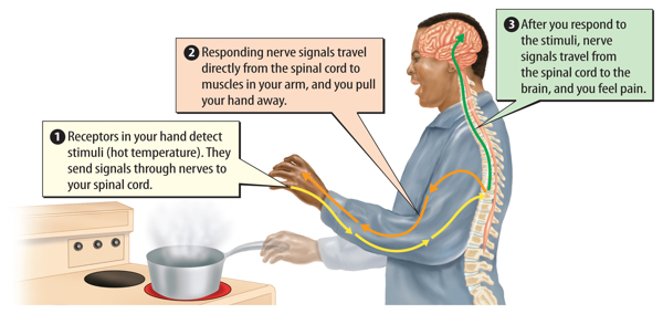 What happens when you season a pan?