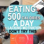 What if I eat 500 calories a day?