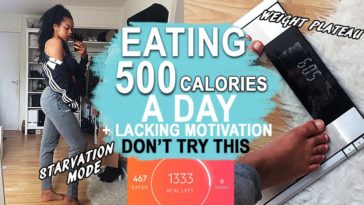 What if I eat 500 calories a day?