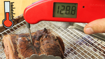 What instant read thermometer do chefs use?