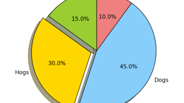 What is 1/3 of a pie?