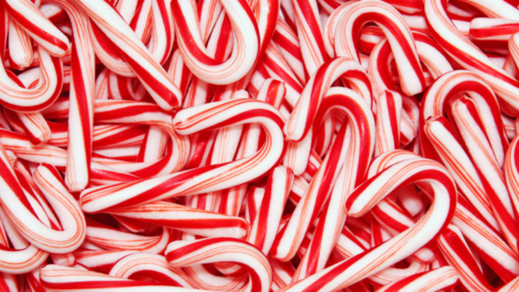 What is Candy Cane good for?