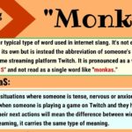 What is Cento mean in English?