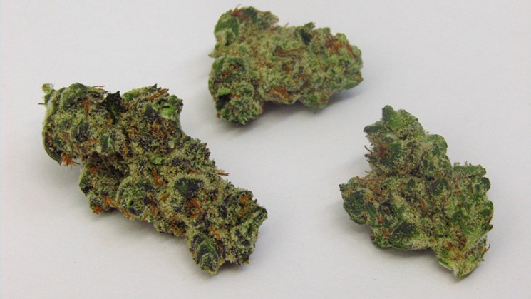 What is GMO strain?