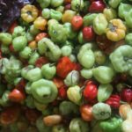 What is Puerto Rico's national fruit?