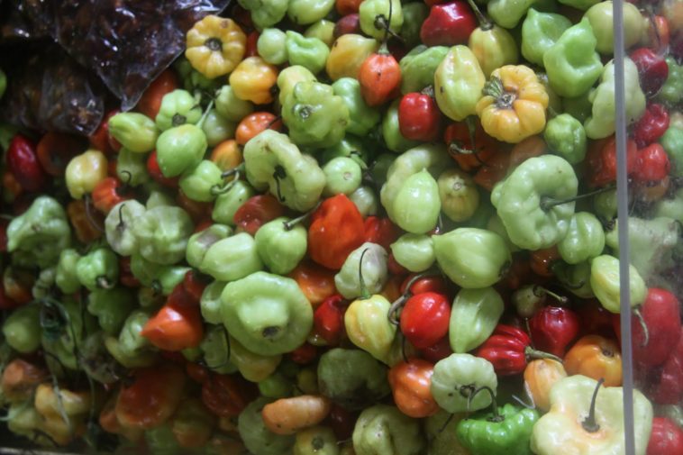 What is Puerto Rico's national fruit?