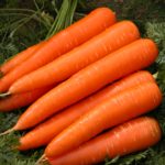 What is a Carrot Top vegetable?