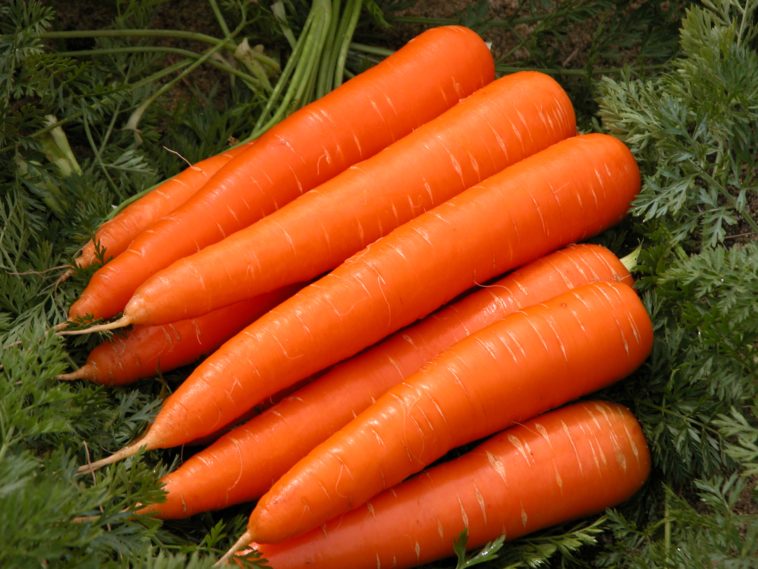 What is a Carrot Top vegetable?
