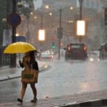 What is a Malay person?