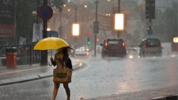 What is a Malay person?